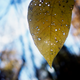 Illustration for article titled Fall photo dump